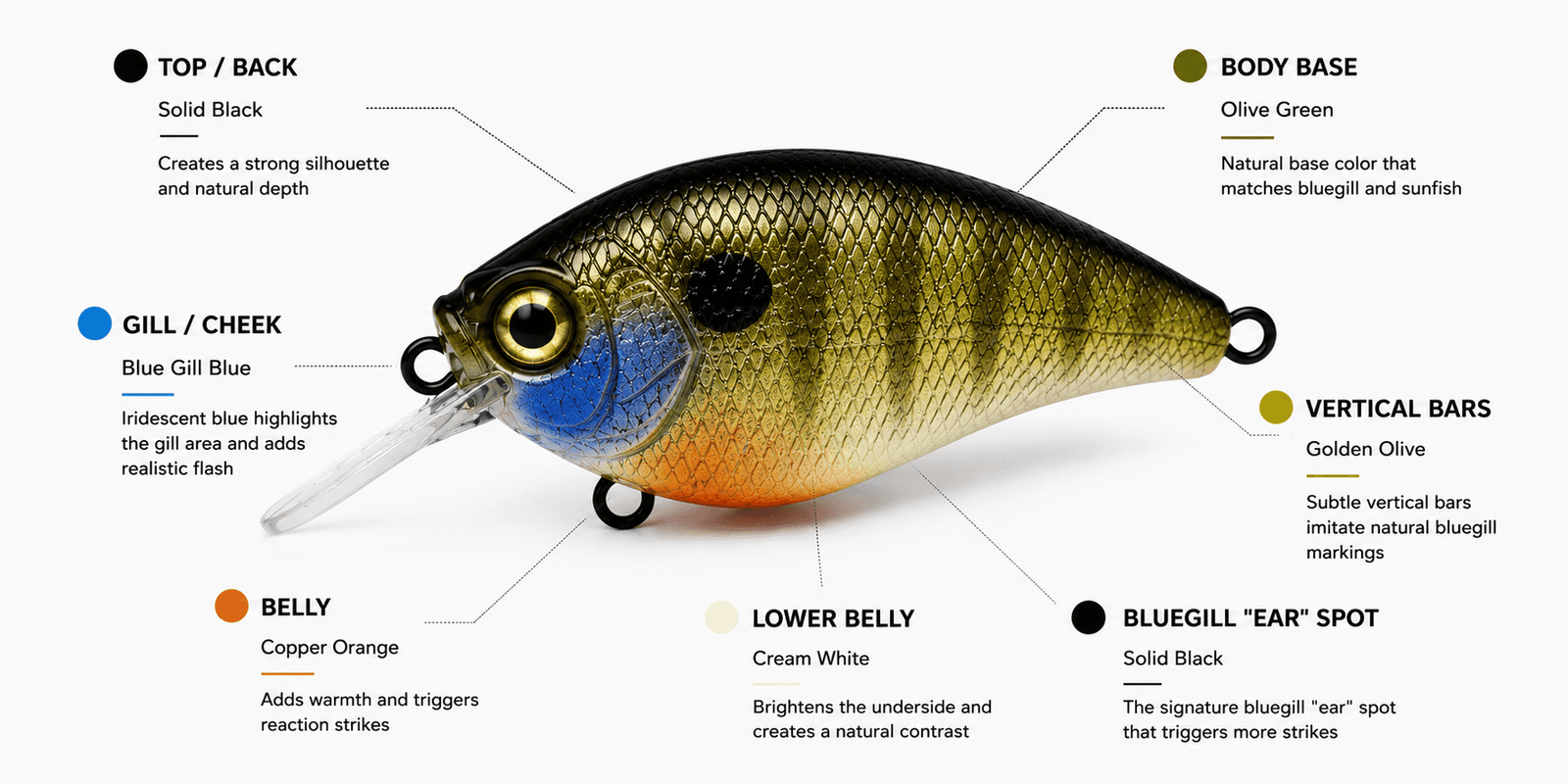 Color Breakdown - Bluegill