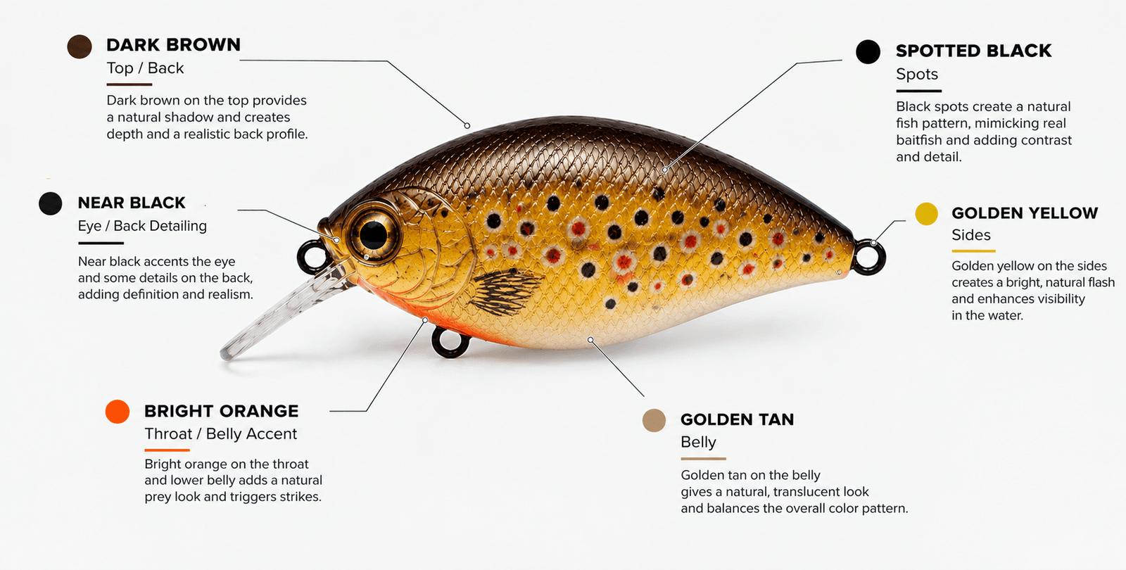 Brown Trout Pattern Color Breakdown