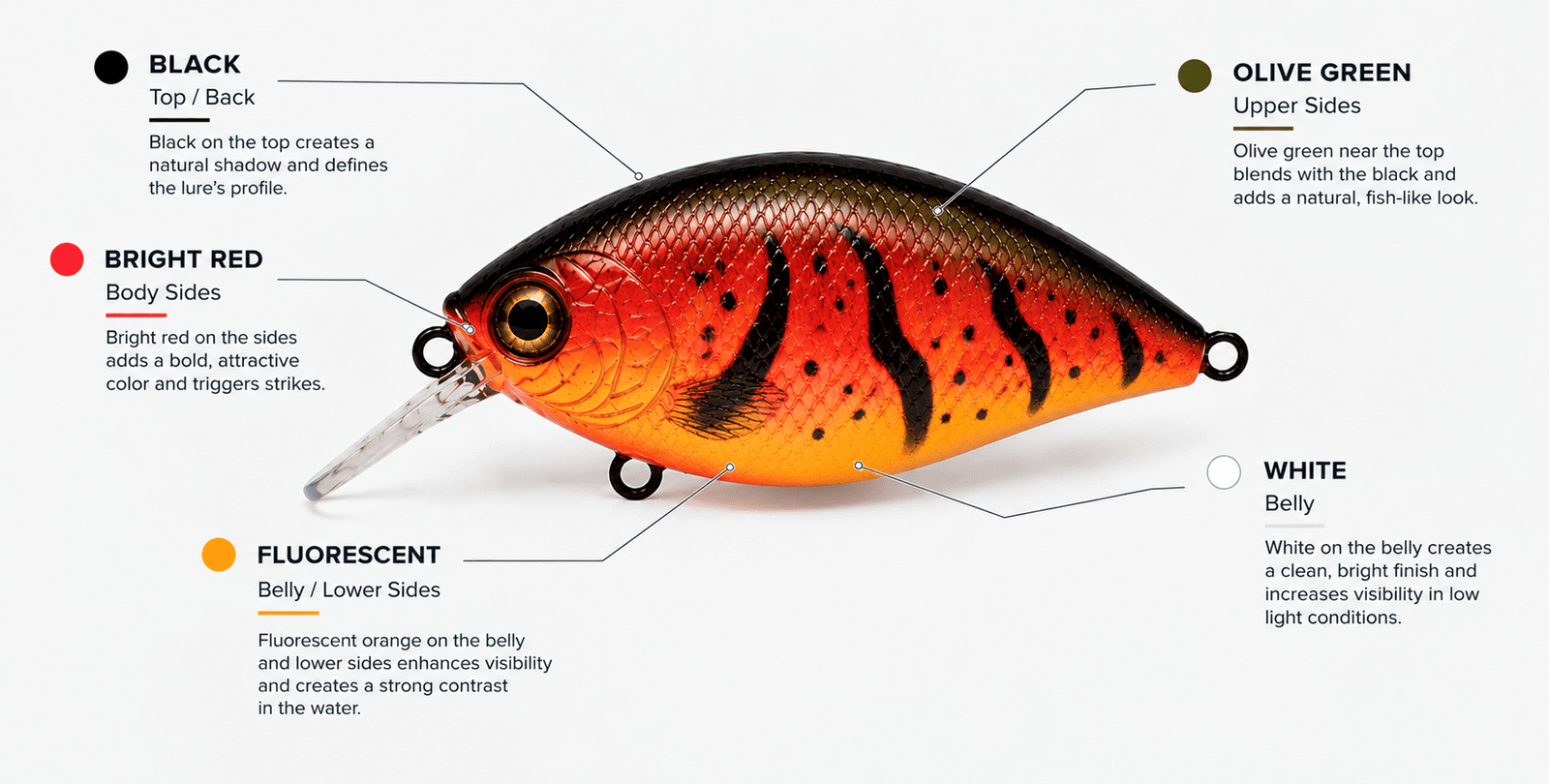 Crawfish Pattern Color Breakdown