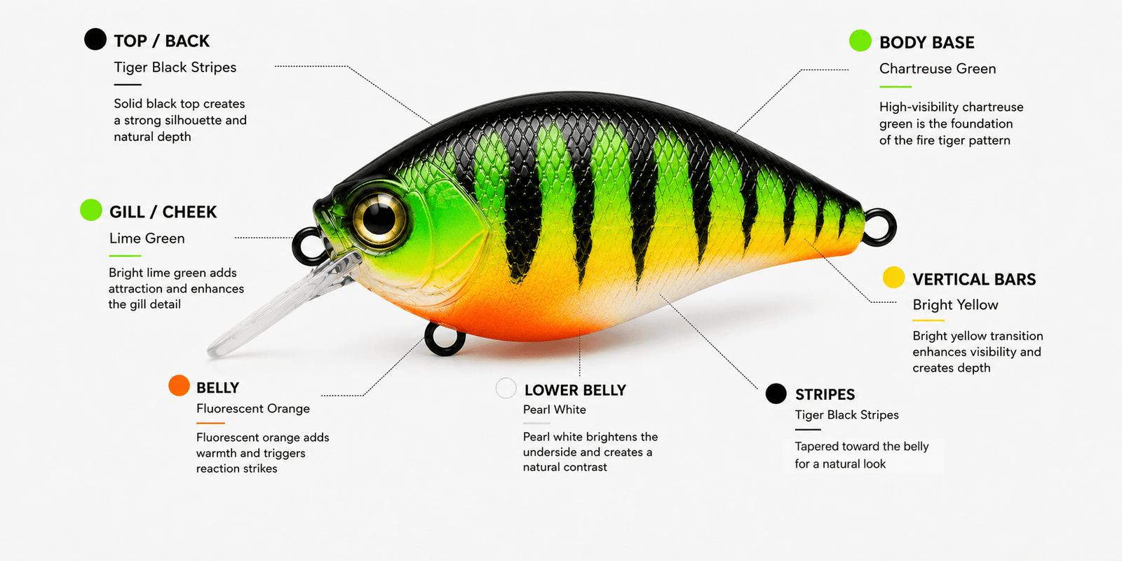 Color Breakdown - Fire Tiger