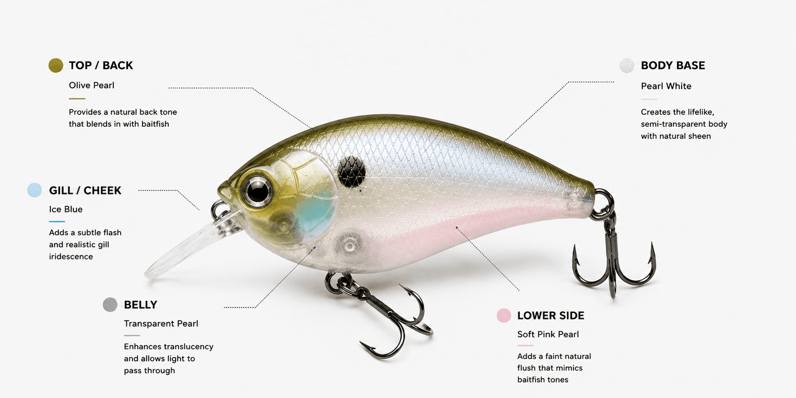 Color Breakdown - Ghost Minnow