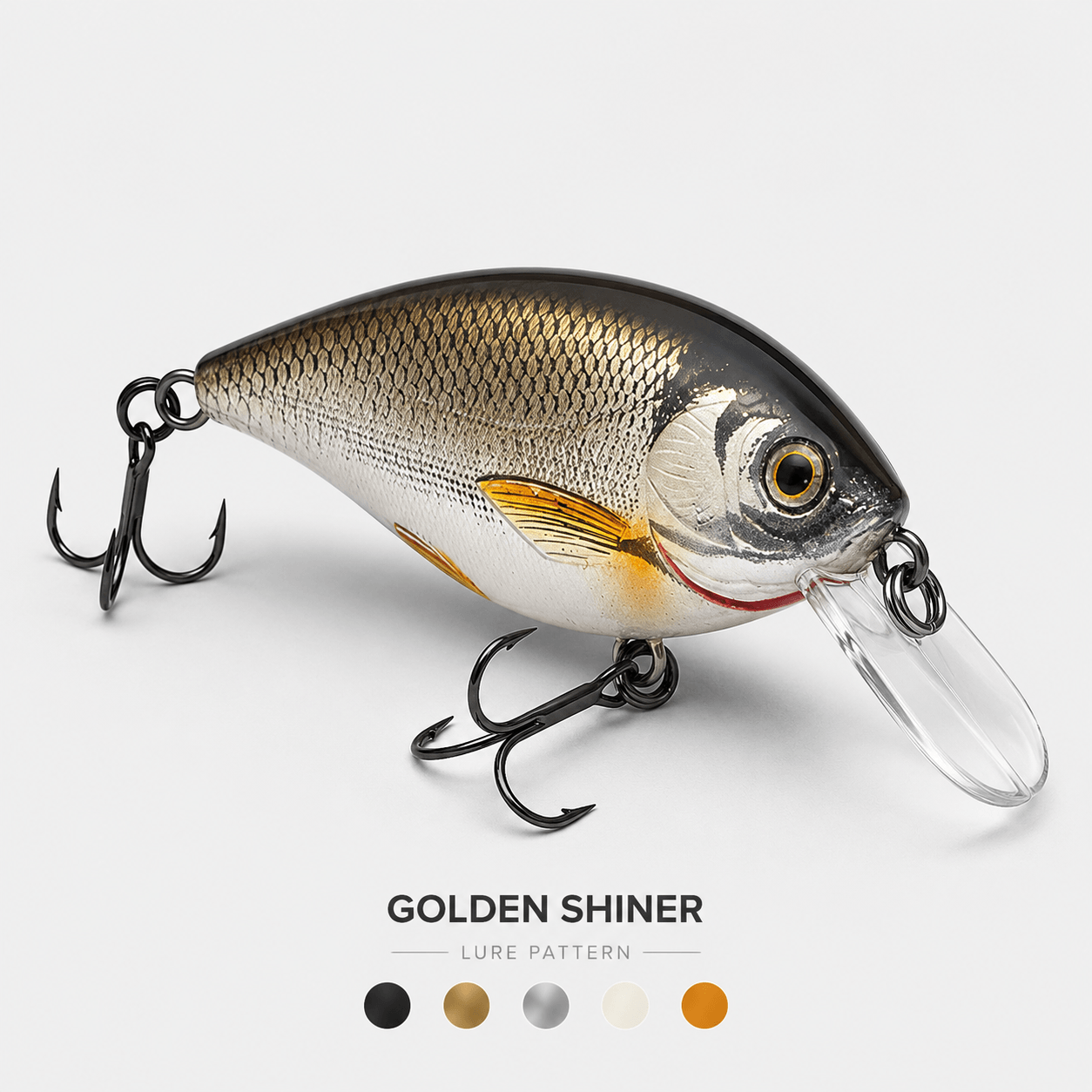 Golden Shiner Pattern