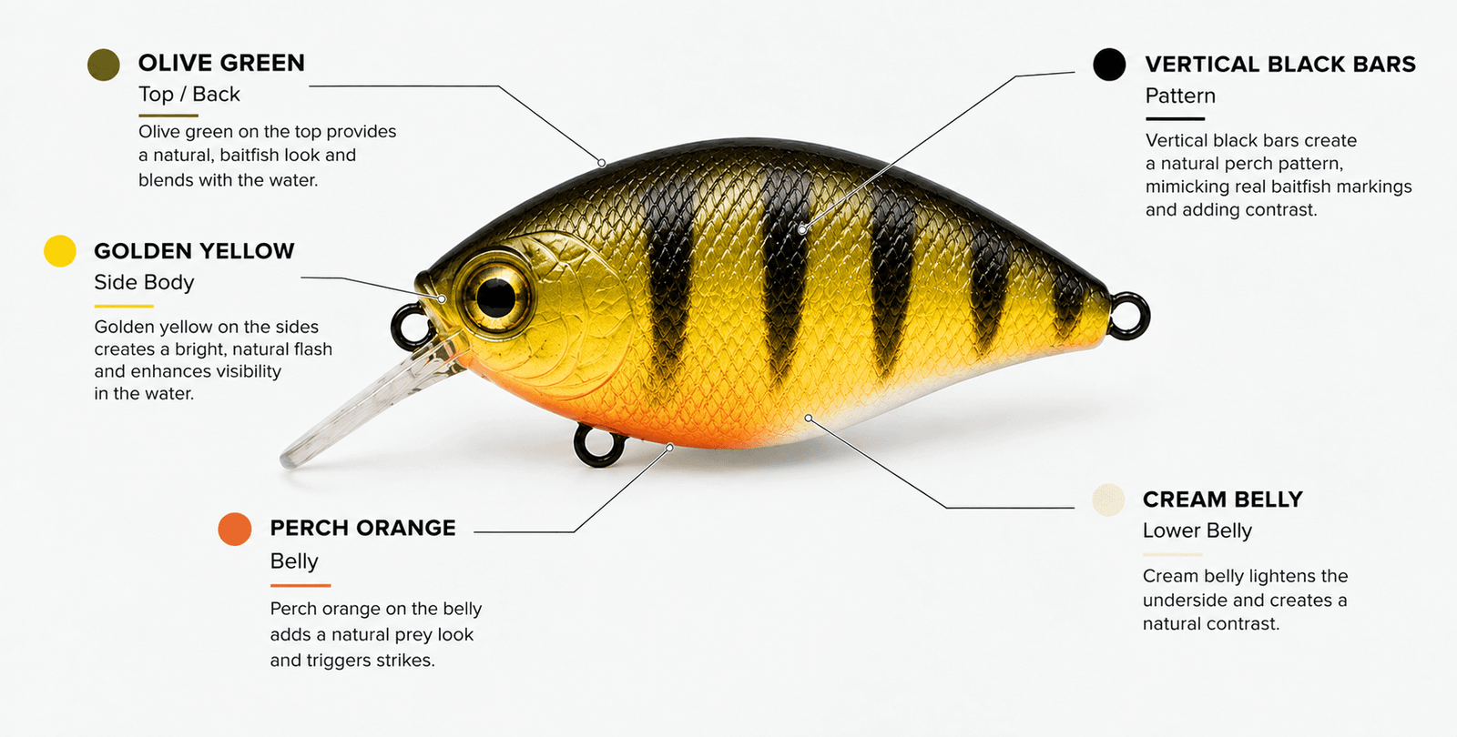 Perch Pattern Color Breakdown