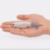 river2sea-whopper-plopper-on-hand River2Sea Whopper Plopper