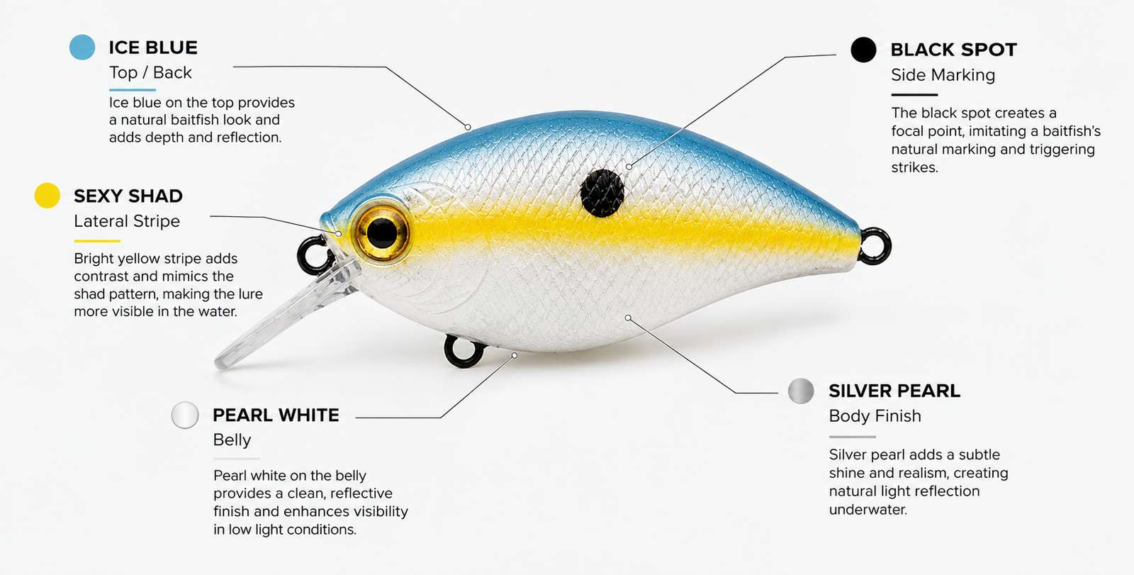 Sexy Shad Pattern Color Breakdown